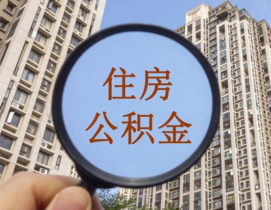 沛县退休后查不到公积金明细了吗（退休后公积金查询不到原因）